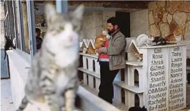  ?? AFP PIC ?? Mohammed Alaa al-Jaleel holds a feline near marble cubes used as houses at Ernesto’s Cat Sanctuary, which he runs in Kafr Naha, Aleppo, Syria.