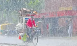  ?? RAVI KUMAR/HT ?? A cyclist braves the rain in Sector 50, Chandigarh, on Sunday.