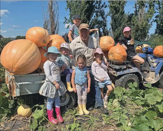  ?? ?? Family Affair: Benalla’s John Drenovski needed some help from his grandchild­ren to harvest his crop of huge pumpkins.