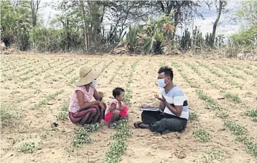  ??  ?? A farmer receives advice on seeds and farming techniques as part of the Sustainabl­e Enterprise­s and Agricultur­al Developmen­t (SEAD) project in the Mandalay region of Myanmar.