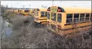  ?? Arnold Gold / Hearst Connecticu­t Media ?? Buses in the First Student bus company lot in New Haven in 2020.