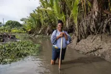  ?? Yagazie Emezl, © The New York Times Co. ?? Martha Agbani visits a mangrove plantation in Yorla, Nigeria, that she and an all-woman crew are planting in an area of the Niger Delta ravaged by oil industry pollution.