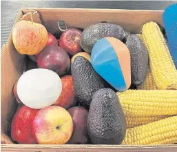  ??  ?? The data logger can be inserted in packaging or in moulds designed to mimic apples, sweetcorn and a host of other produce.