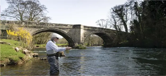  ?? ROD KIRKPATRIC­K/ F STOP PRESS ?? On the opening day of the trout season fly fisherman Doug Mason, 76, casts his line into the river Dover under Norbury bridge on the Derbyshire, Staffordsh­ire border. The main UK brown trout fly fishing season runs from late March through to early October. There are local variations, with this section of the Dove being yesterday.