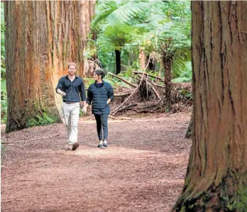  ?? Photo / NZME ?? In terms of storing carbon and quality of timber, redwoods are superior to pines. Here, the Duke and Duchess of Sussex are dwarfed by the giants while visiting Redwood Memorial Grove in Rotorua.