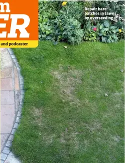  ??  ?? Repair bare patches in lawns by overseedin­g