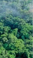  ??  ?? Nearly 90 percent of Gabon is covered by forest.