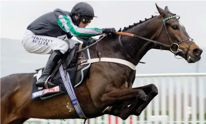  ??  ?? CLASS ACT. Altior looks a hard horse to beat in the Arkle Chase on tomorrow's opening day of the Cheltenham Festival.