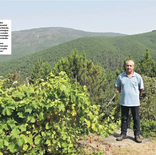  ??  ?? Messias Fernandes é o único guarda-florestal para toda a serra da Estrela. Obviamente não consegue vigiar o suficiente, e muito menos analisar e investigar todos os focos de incêndio de um ano normal. “Se não conseguimo­s investigar permitimos que criminosos fiquem à solta e sejam reincident­es.”