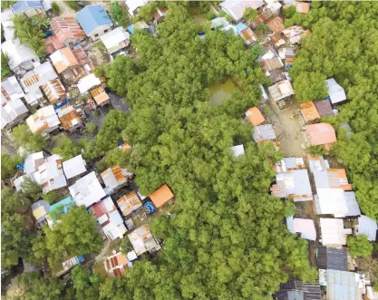  ?? (SUN.STAR FOTO/ALLAN CUIZON) ?? MANGROVES. This aerial photo shows the area surrounded by mangroves in Barangay Paknaan where several houses are built.