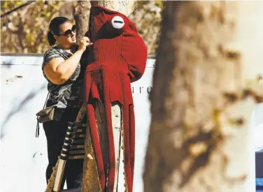  ?? Mason Trinca / Special to The Chronicle ?? Lorna Watt yarn-bombs a tree in a knitted octopus, which followed the giraffe and parrot projects.