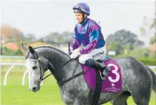  ?? Photo / Trish Dunell ?? Caloundra Cup winner Megablast is unlikely to race here again.