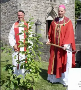  ??  ?? Bishop Denis Brennan planting a tree outside St Anne’s Church, Rathnure, to mark his golden jubilee with the help of Fr Brian Broaders PP. RIGHT: The letter sent to Bishop Brennan by Pope Francis.