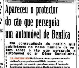  ?? ?? 29 JANEIRO 1974 Noticiamos ontem que um morador de Benfica se queixara ao DN de ter o seu carro perseguido por um cão que não era seu. A denúncia funcionou: apareceu o dono. O cão perseguia o dono errado já que o seu carro era idêntico ao do verdadeiro.