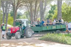  ?? PICTURES: MARINUS COETZEE ?? BLISS: A feast of family fun at Eikendal Weintaufe, a Sunday fun day on the lawn for young and old.