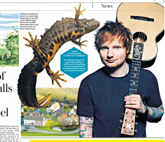  ??  ?? Ed Sheeran submitted plans for a Saxon-style chapel, left, to be built on his Suffolk estate, below, but a wildlife trust claims that it may be home to the rare great crested newt