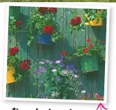  ??  ?? For a budget choice, screw empty tins onto a shady wall or fence and fill with herbs or trailing plants