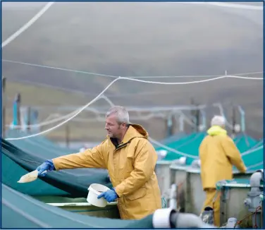  ?? Picture: Getty Images ?? Salmon is Scotland’s single biggest food export and is estimated to support 12,000 jobs and 3,600 suppliers