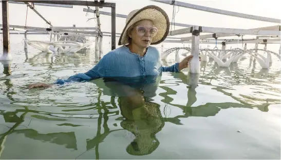  ?? Picture: AFP ?? FULL OF LIFE. Israeli artist Sigalit Landau next to one of her artworks – everyday objects coated in salt crystals that glisten in the bright morning sun, submerged in the salty Dead Sea water at the Ein Bokek resort this month.