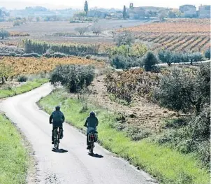  ?? MANÉ ESPINOSA ?? Dos ciclistas disfrutan de los paisajes del Penedès, los escenarios en los que está ambientada la novela de Serés