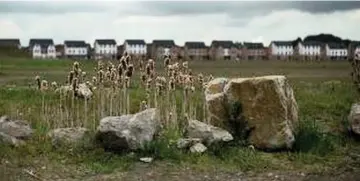  ??  ?? > The brownfield site where the woodland was meant to be planted. Right: Pritesh Ladwa