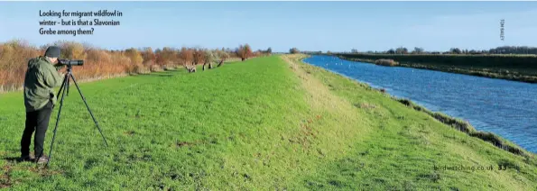  ??  ?? Looking for migrant wildfowl in winter – but is that a Slavonian Grebe among them?