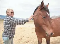  ?? PHOTOS BY PAT SHANNAHAN/THE REPUBLIC ?? Top: A wild horse walks on a ridge outside Reno. Above: Shari Floyd scratches the neck of of one the former wild horses living at her Wynema Ranch Wild Horse Sanctuary in the Reno area.