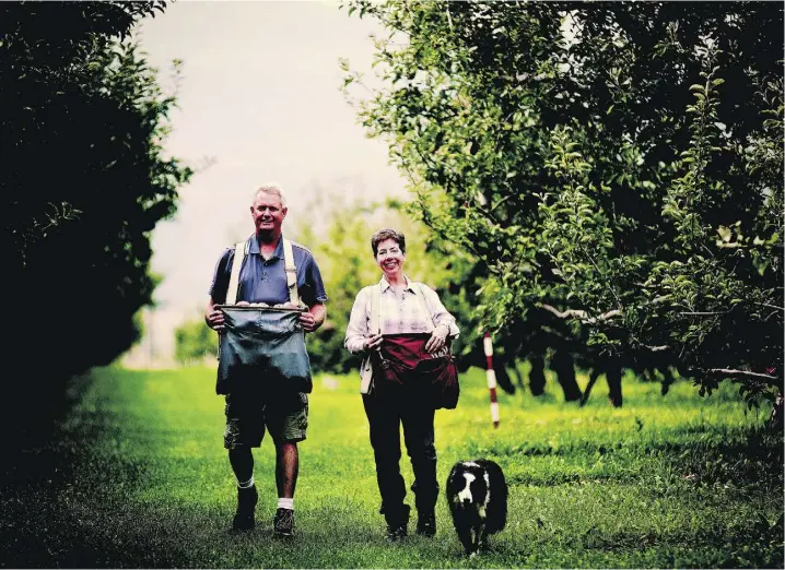  ?? Broken Ladder Cider Compan y ?? Hank Markgraf and his wife Darcel are among 500 growers that make up the BC Tree Fruits co-operative that recently began producing and selling Broken Ladder Cider.