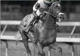  ?? BARBARA D. LIVINGSTON ?? Pavel earned a 101 Beyer for this victory in the Stephen Foster.