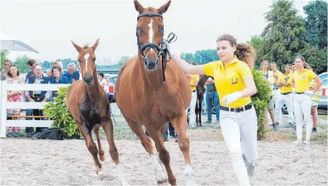  ?? ARCHIVFOTO: GEORG KLIEBHAN ?? Fohlenmark­t 2018: Damals waren noch Zuschauer direkt an der Bande erlaubt. In diesem Jahr findet die Auktion wieder unter Corona-bedingunge­n statt.