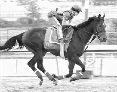  ?? MICHAEL BURNS ?? Neepawa, shown training Thursday at Woodbine, was third in the Toronto Cup Stakes last out.