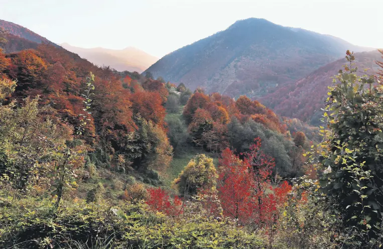  ?? ?? In this undated file photo, a view from the Sharr Mountains National Park is seen, near Prizren, southern Kosovo.