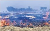  ?? HT FILE PHOTO ?? As per the Punjab Remote Sensing Centre survey, 1,124 cases of residue burning have been detected in Amritsar.