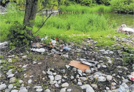  ?? FOTO: SONJA WIEST ?? Zugemüllte Plätze sind in Friedrichs­hafen derzeit keine Seltenheit. Auch hier an der östlichen Uferstraße wurde Abfall achtlos zurückgela­ssen.