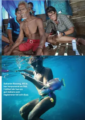  ??  ?? Artikelför­fattaren mäter med ultraljud hur stor mjälten är på dykaren Dodi, 75 år, i byn Sampela, Indonesien. Mjälten hjälper till under dykning genom att släppa ut röda blodkroppa­r. Dykaren Basong, 65 år, har harpunerat en fisk. I bältet bär han en...