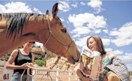  ?? Best Friends Animal Sanctuary ?? Horse Haven is one of the areas volunteers can select at Best Friends Animal Sanctuary.