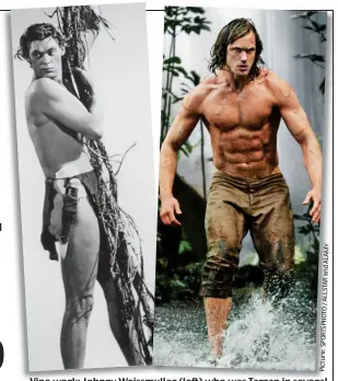  ??  ?? Vine Vinework:work: Johnny Weissmulle­r Weissmulle­rmull (left) who whowaswas Tarzan in several films, and Alexander Skarsgard in 2016’s The Legend Of Tarzan