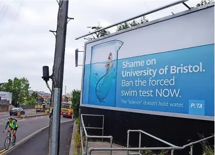  ?? PHOTO: PETA ?? The billboard on Bedminster Down Road