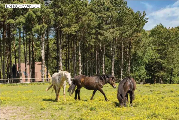  ??  ?? Le parc, mêlant jardins paysagés, prairies et bois, entoure les maisons. On y croise les poules et les chèvres au poulailler, et les chevaux dans leur pré.