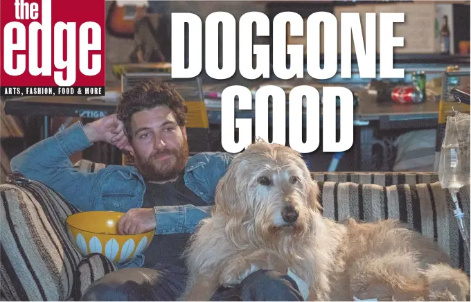  ??  ?? WOOF! Dax (Adam Pally) relaxes with dog Charlie in ‘Dog Days.’ Below, TV morning show co-hosts Jimmy (Tone Bell) and Elizabeth (Nina Dobrev) get romantic outside the studio.