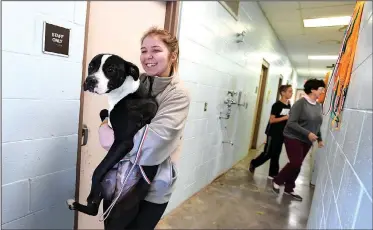  ?? NWA Democrat-Gazette/J.T. WAMPLER ?? Savanna Thornton carries a dog Monday to the outdoor area of the Springdale Animal Shelter. Thornton works at the shelter. A proposed bond issue includes an estimated $5.2 million to either renovate or replace the city’s animal shelter.