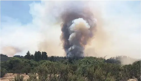  ??  ?? ► El fuego consumió más de 4 mil hectáreas de pastizales, bosques y afectó el hogar de fauna nativa.