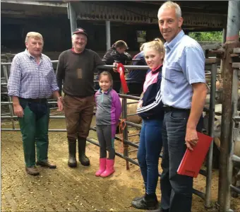 ??  ?? Manorhamil­ton Livestock Sales: 1st Prize Winning Crossbred Hoggets. Patsy Connolly, Martin Connolly Owner, Megan Fitzpatric­k and Nigel Crowe Judge with daughter Hallie Crowe.