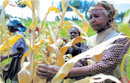  ?? AFP ?? A agricultur­a é encarada pelos líderes mundiais como um dos principais sectores produtivos para a erradicaçã­o da fome e pobreza no mundo