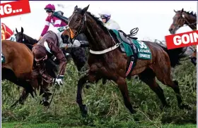  ?? ?? WORST SEAT IN THE HOUSE: Domaine De L’Isle stumbles at The Chair, launching jockey Harry Bannister over his head. Bannister tries his best to hang on...