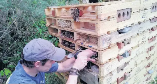  ??  ?? A ‘bug hotel’, like this one, is one way to introduce more wildlife into your garden