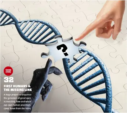 FIRST HUMANS & THE MISSING LINK - PressReader