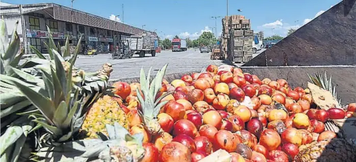  ?? (ANTONIO CARRIZO) ?? Al contenedor. Ananá, durazno, pera y manzana, algunas de las frutas que ayer terminaron como basura. Se desperdici­an 74 toneladas diarias.