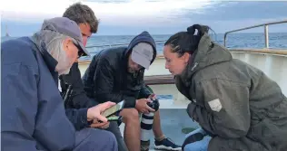  ??  ?? Bob Flood, Danni and Zach Hinchcliff­e and Scott Reid study their photos and ID references of Zino’s Petrel.