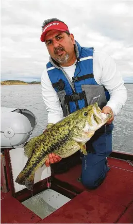  ?? Larry Hodge / Texas Parks and Wildlife Department ?? Almost 600 13-pound-plus largemouth bass, including this 13.5-pounder caught from Lake Amistad by angler Robert Robles, have been entered in Texas’ ShareLunke­r program since the then-unique program began 30 years ago.